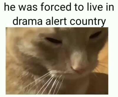 It's drama alert nation and this is our flag 🎛️