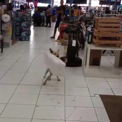 Coisa linda, ne gente? 🥰