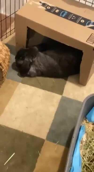 The man was KNOCKED 🤣