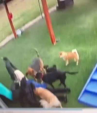 Better with sound off