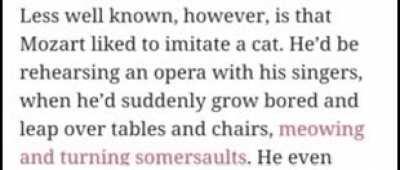 Mozart was an r/196 user 😔