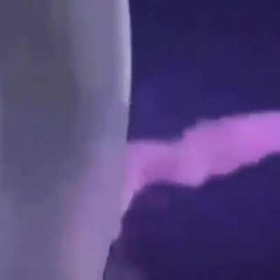 How to defeat a tiger