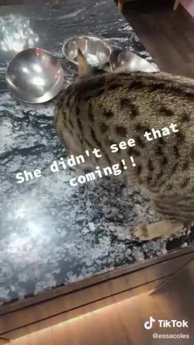 And it was having such a great time...