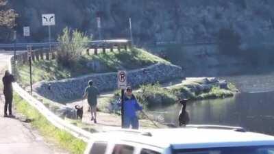 Fuck that man in particular