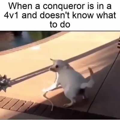 Nothing personal to Conq mains!