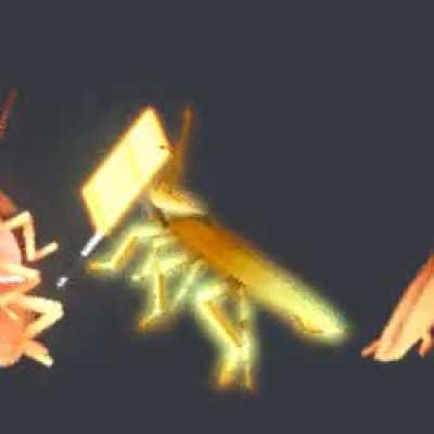 Let us not fight bröthèrs. Let us start an alliance stronger than any before. Together we are stronger