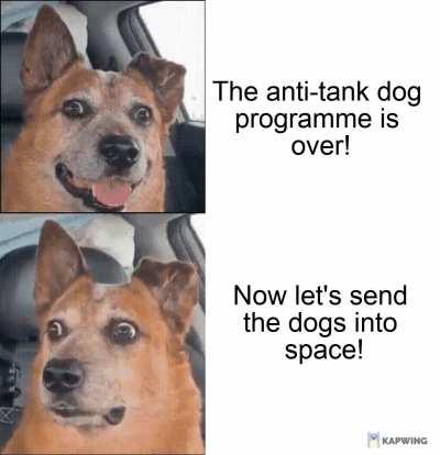 Well, at least Laika got a cool statue out of it...