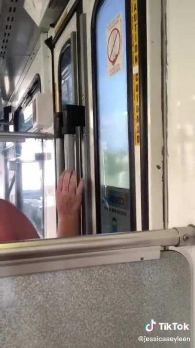 Angry Karen in the bus