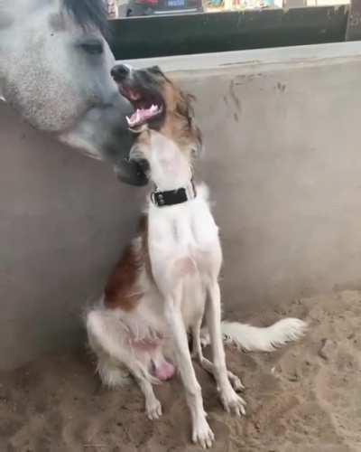 Oh yeah, that's the spot