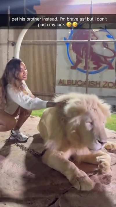 Shenseea petting a lion 🦁
