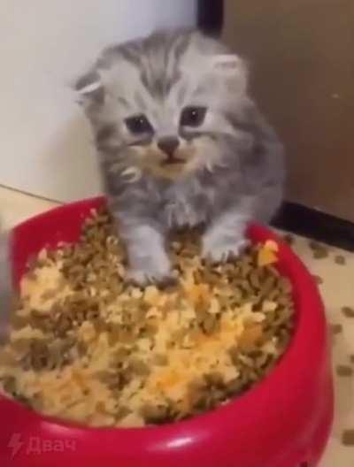 Когда вспомнил, что после нового года нужно снова батрачить на работе