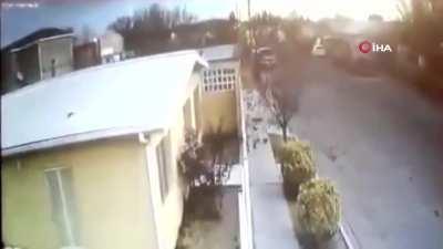 huge group of birds falling down from sky (what the actual hell is this?!?!)