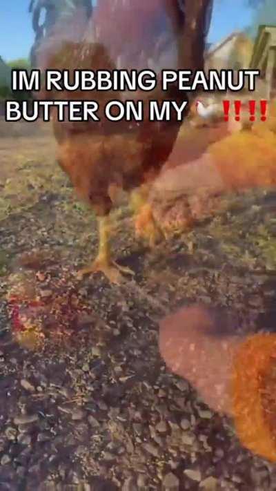 Nobody done this before 