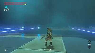 Just found out you can block lasers with your shield and walk right through them