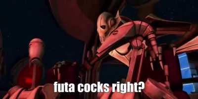 What other lies has HoloCouncil told me?