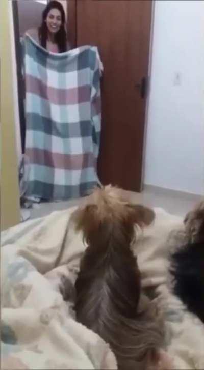 And they say wrestling is fake... smh