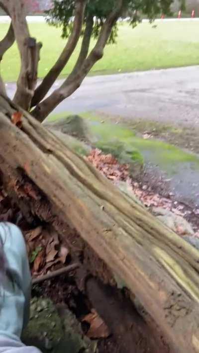 Risk turns us on! [GIF]