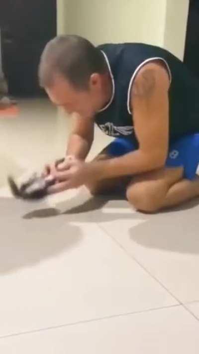 This cute bouncing kitty made me smile :)