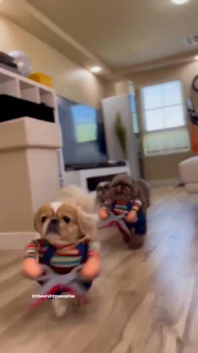 Winners of Best Halloween Costume