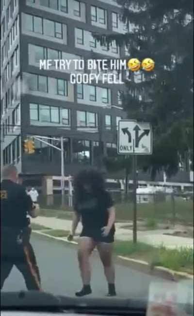 Rutgers PD almost gets GTA'd out of their car by a crack head...