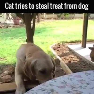 Great planning but poor execution....