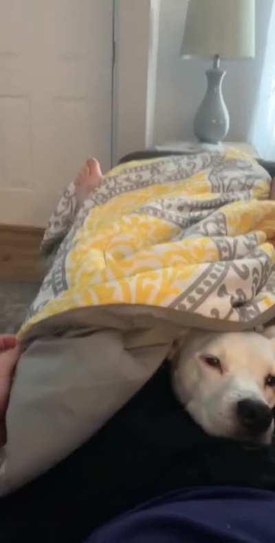 Her reaction to seeing my face after our nap