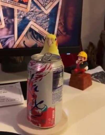 My goodness, this brought a huge smile to my face. 😍