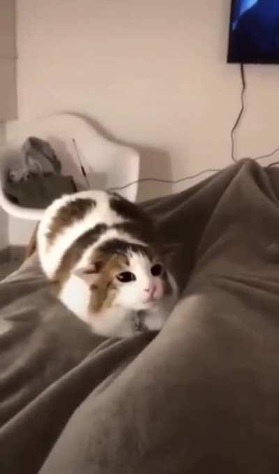 Wiggle Wiggle Wiggle