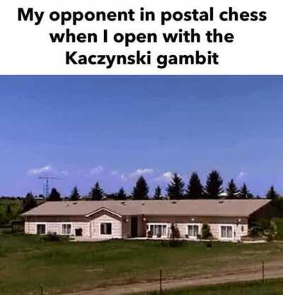 Reddit and it’s consequences have been a disaster for the human race