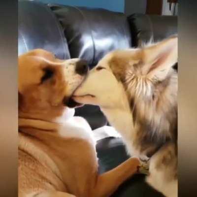 Awkward kiss