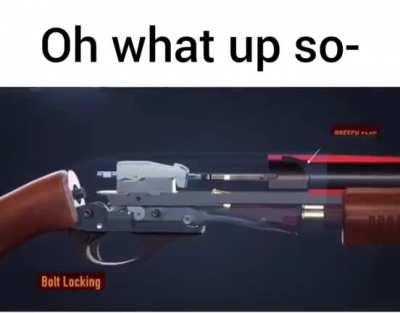 This appears to be a title 