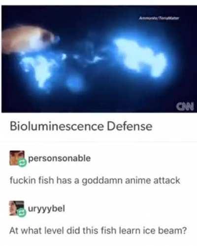 🔥 Fish with a Street Fighter attack