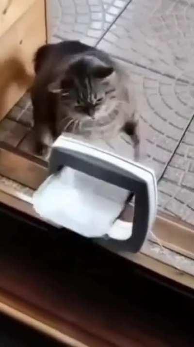 Why so much shaking?