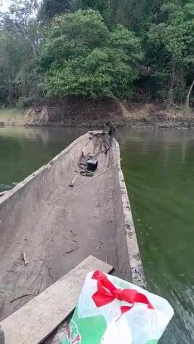 This human is a good one