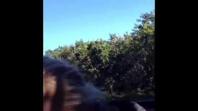 Giraffe chasing jeep straight outta Jurassic park
