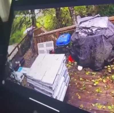 to build the perfect pile and almost set the last bag in its place.