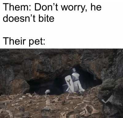 Control thy medieval pet