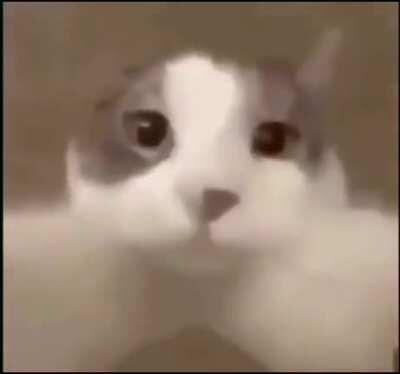 Un beso antes que sigas bajando 💋❤️