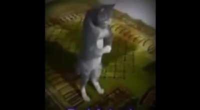 No kiss before marriage 😡