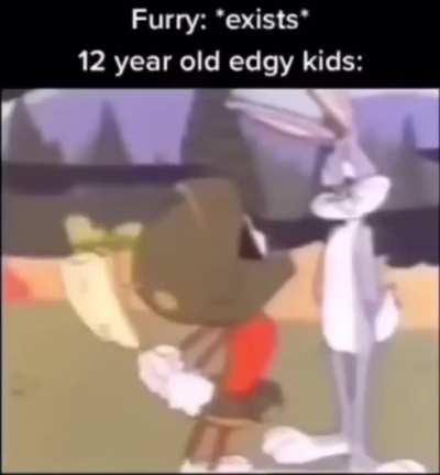 I’m glad no more anti furry memes are here