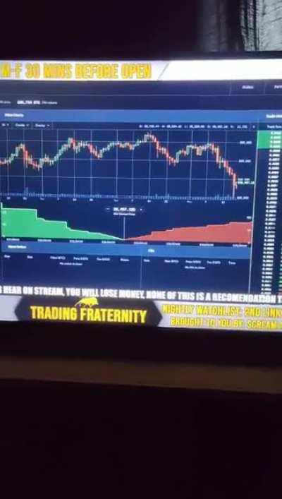 This guy during the crash made this ape laugh uncontrollably.