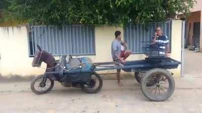 Melhor que um cavalo