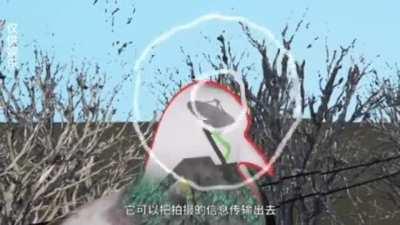 Finally some good schizo