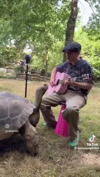 Best part is that elephant will never forget him