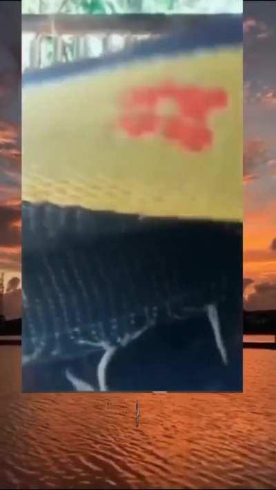 itadakimasu🙇‍♂️