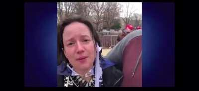 It seems the Animaniacs were behind this the entire time...