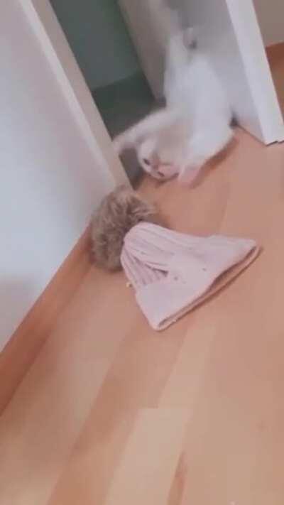 to walk through the door