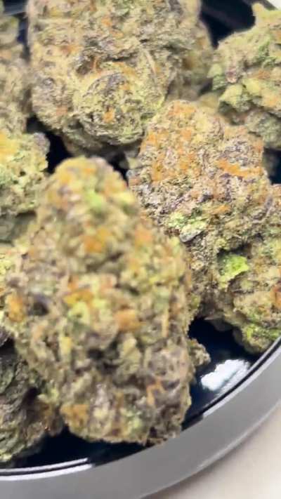 mumbo jumbo (gary payton x apples n bananas x rainbow belts 3.0)— grown by ethics farms…metallic, caramelized doughy profile…slouchy euphoric effects to match