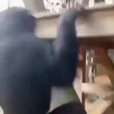 Monkey teaching human the way
