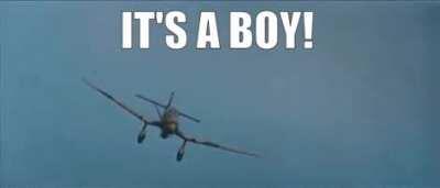 Pink's gender reveal be like: